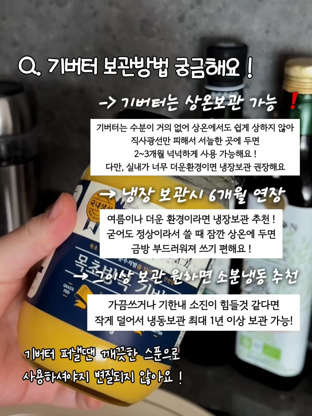 뱅갈고무나무 11