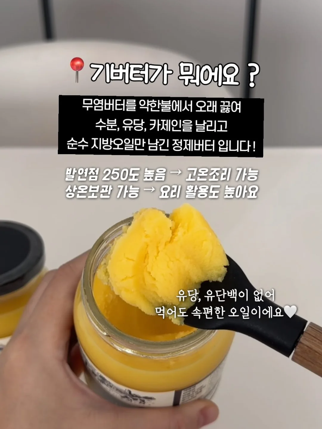 뱅갈고무나무 3