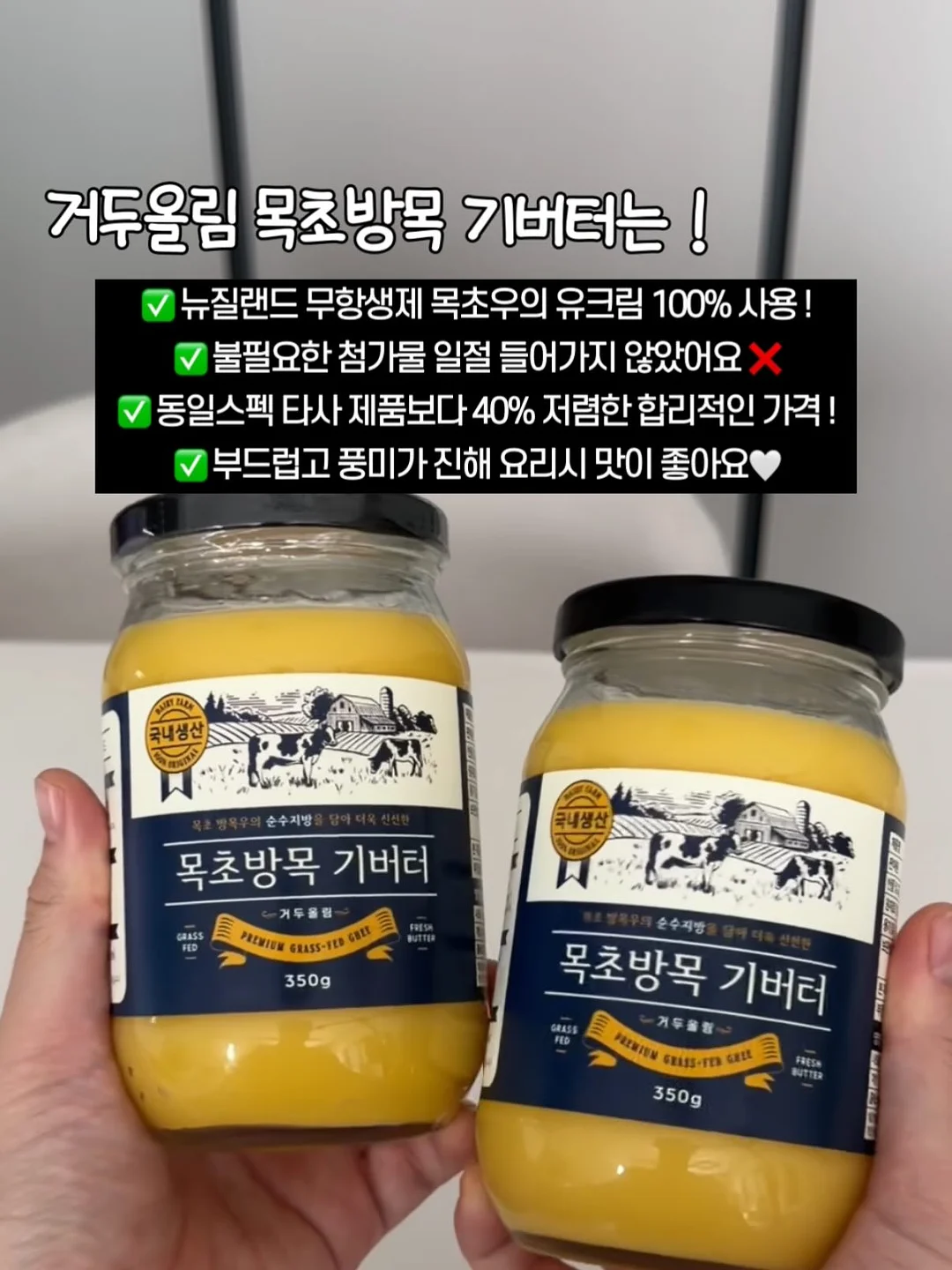 뱅갈고무나무 4