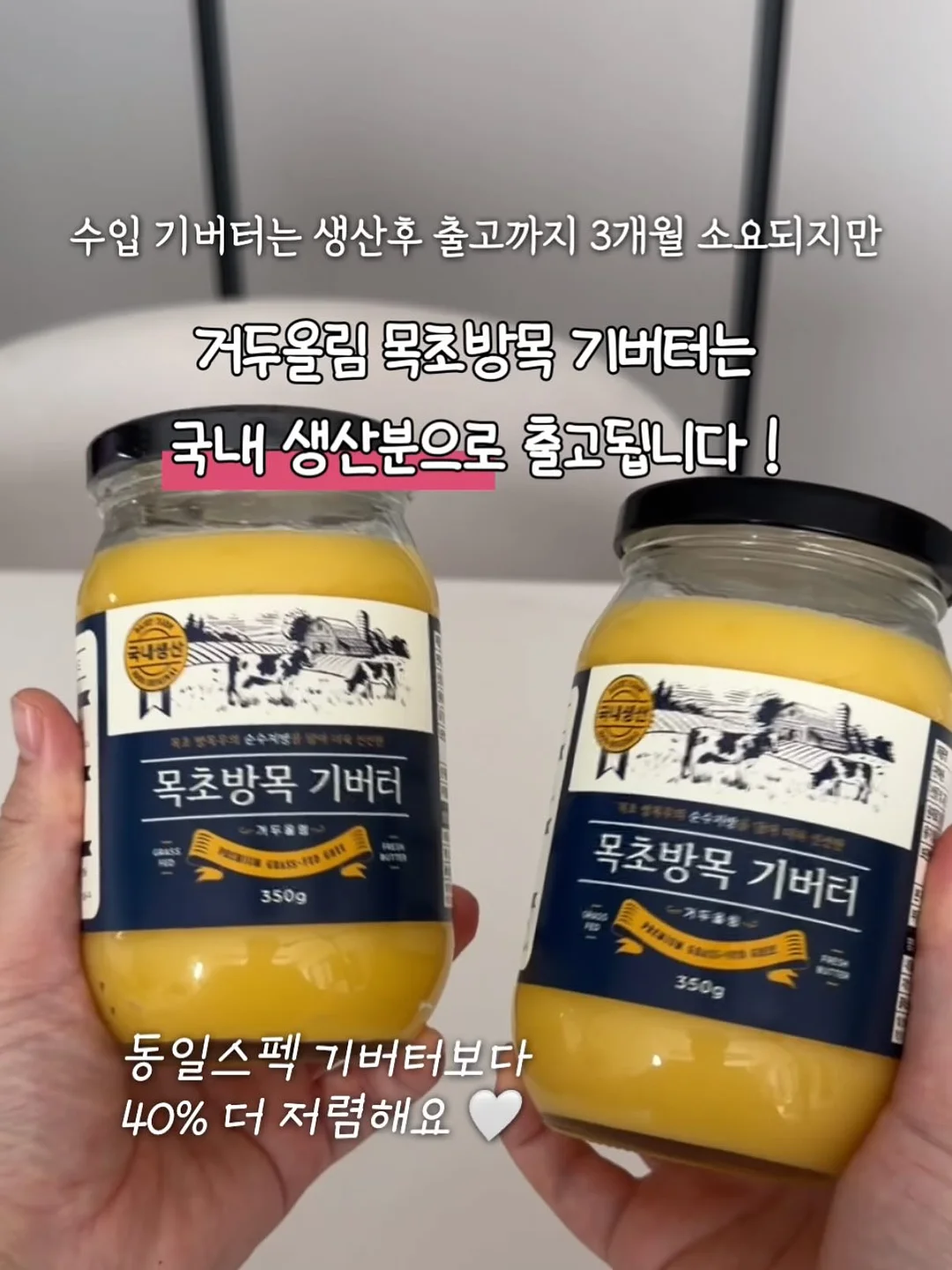 뱅갈고무나무 5