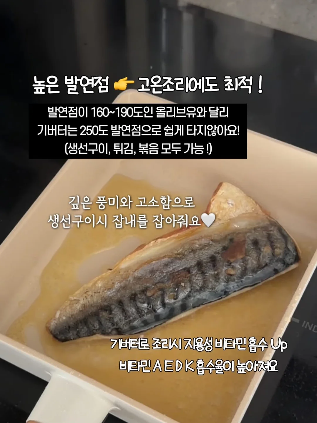뱅갈고무나무 6