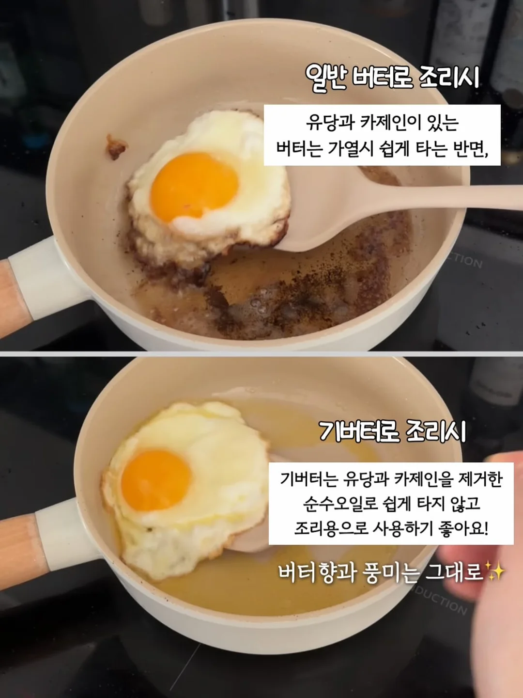 뱅갈고무나무 7