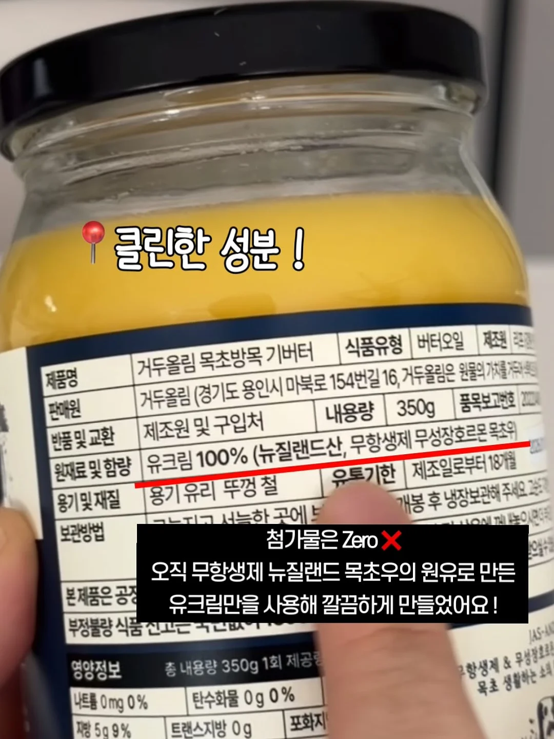 뱅갈고무나무 8