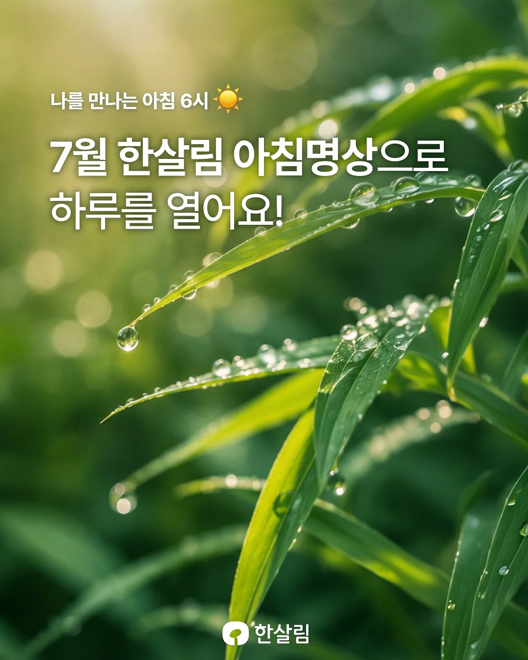 플레이모두 1