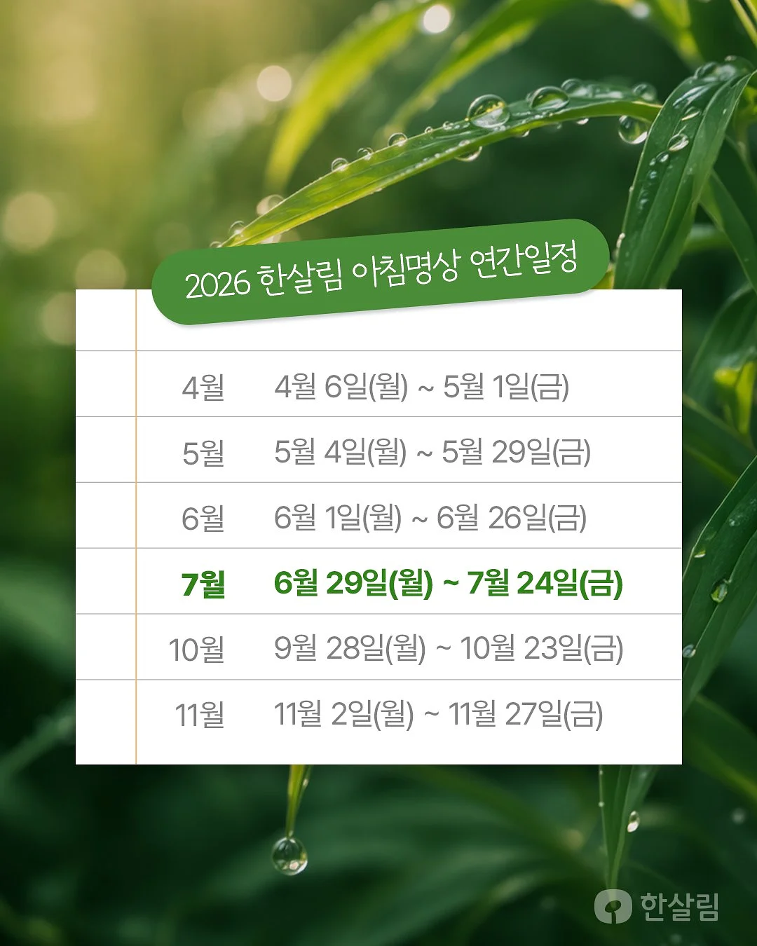 플레이모두 4