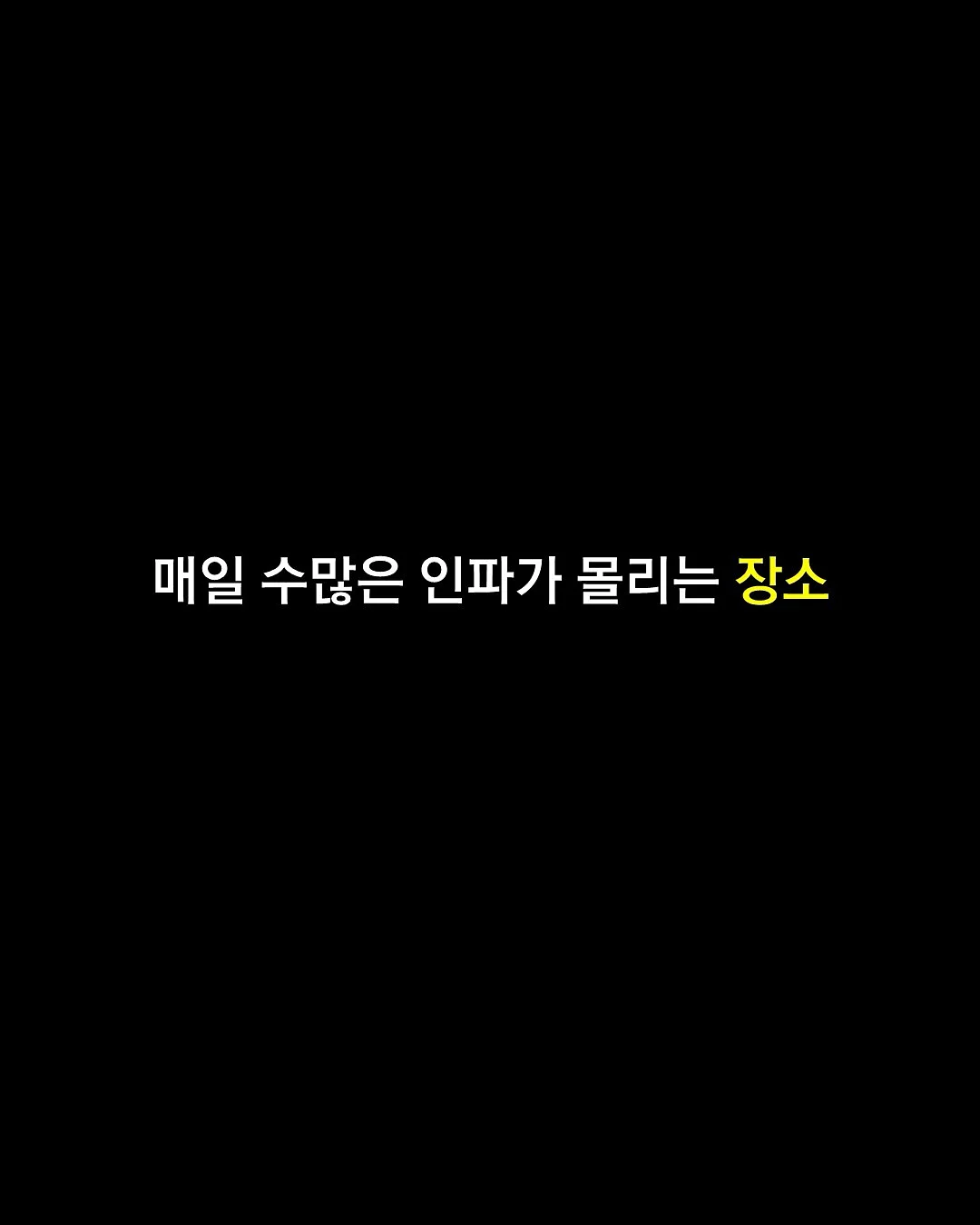 썸머1차 의류 2