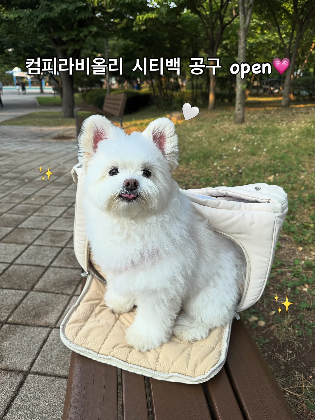 탈라 시트러스팩 1
