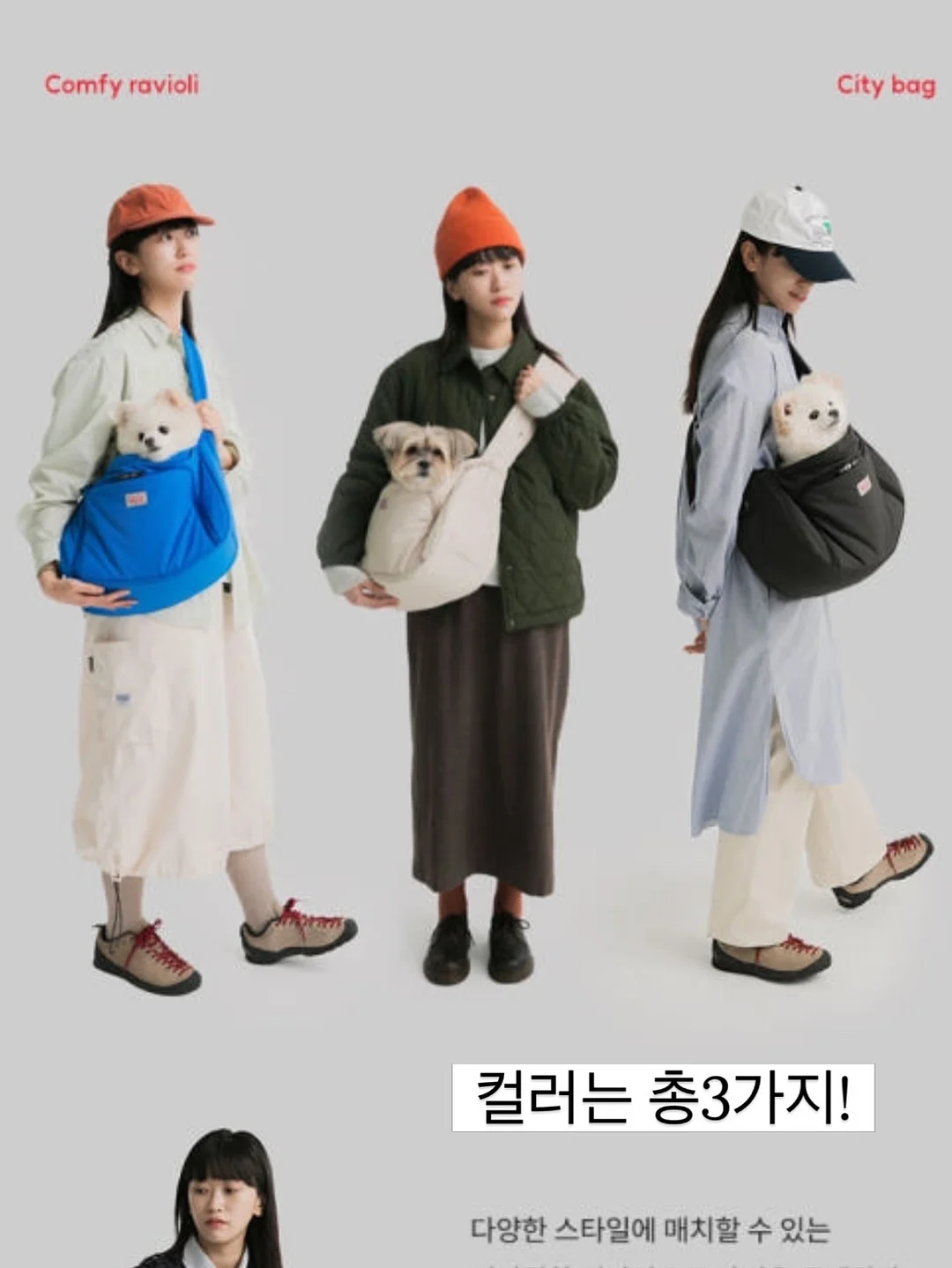 탈라 시트러스팩 6