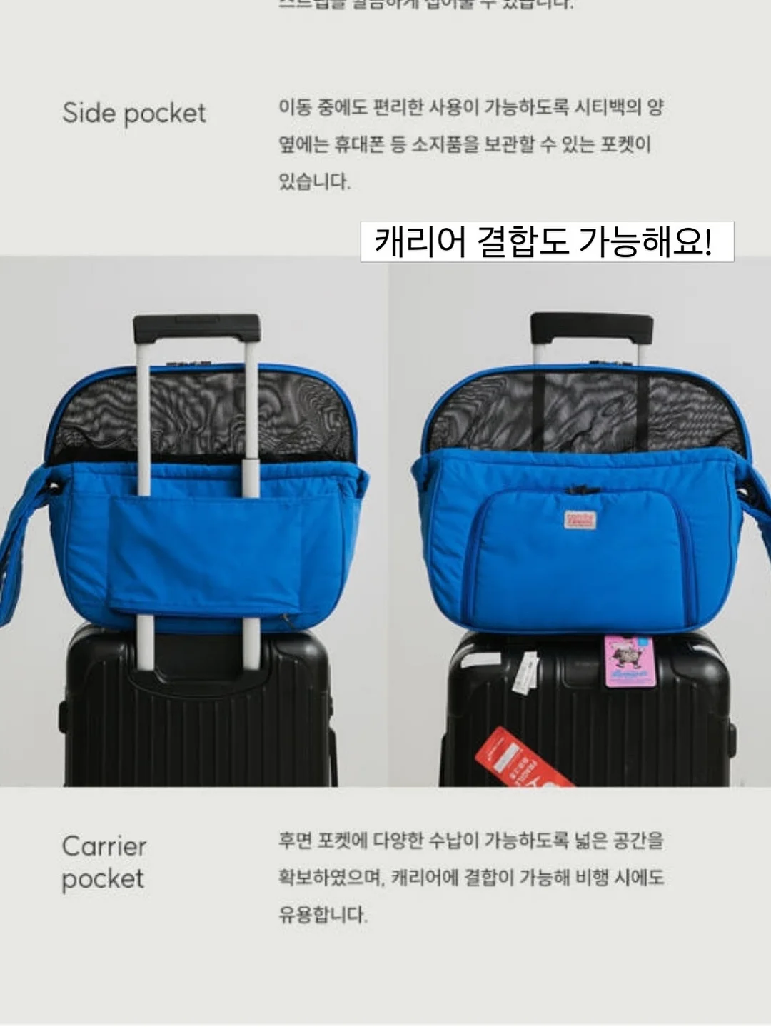탈라 시트러스팩 7