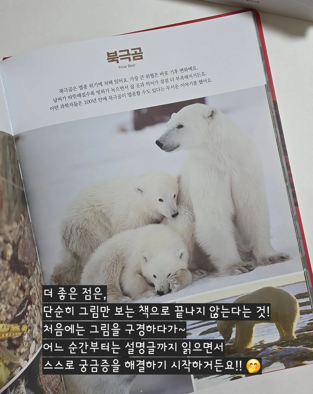 키티 네일 12