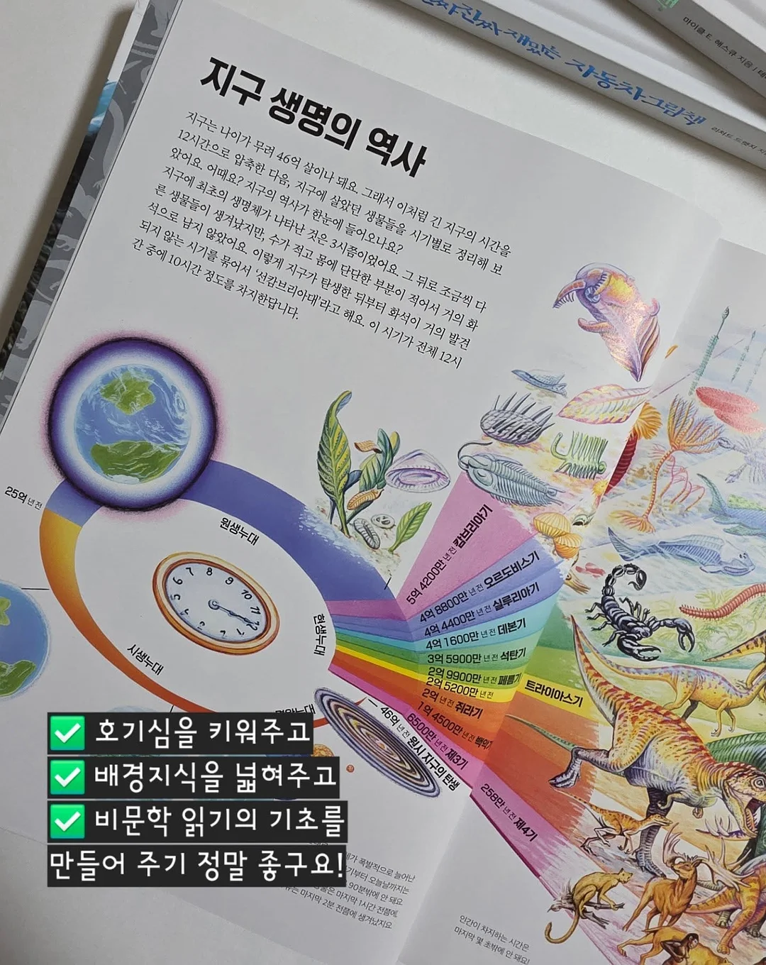 키티 네일 13
