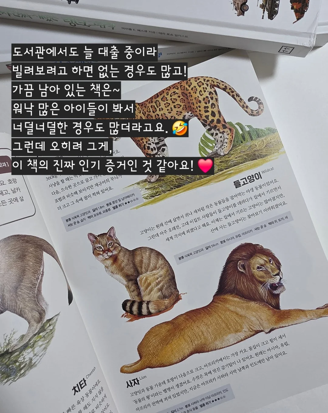 키티 네일 6