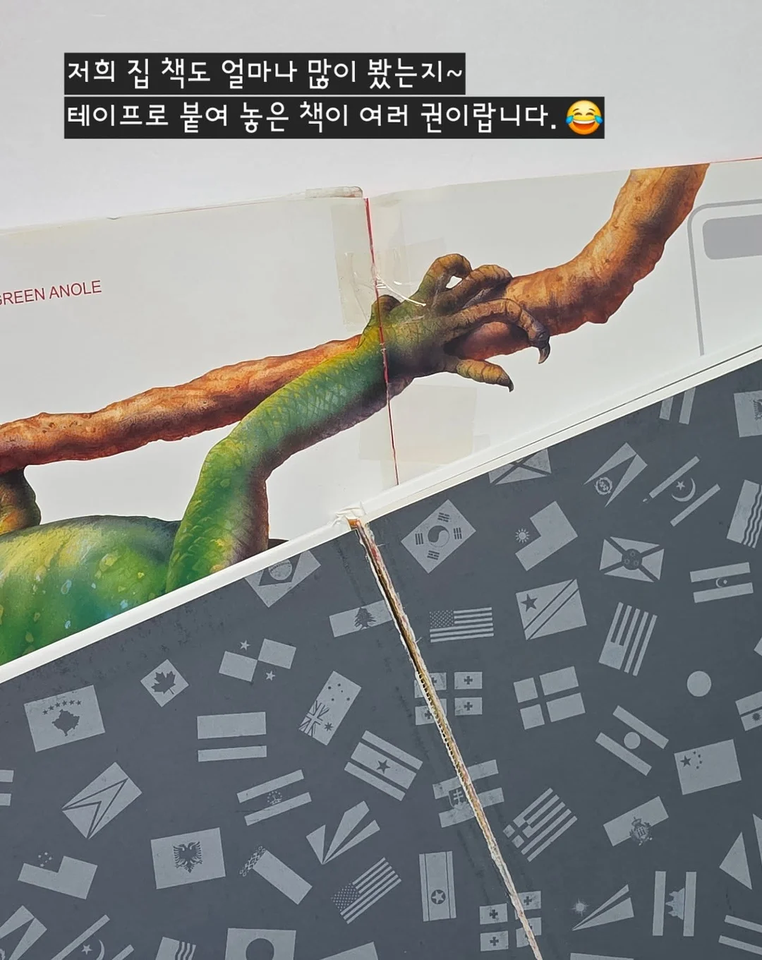 키티 네일 7