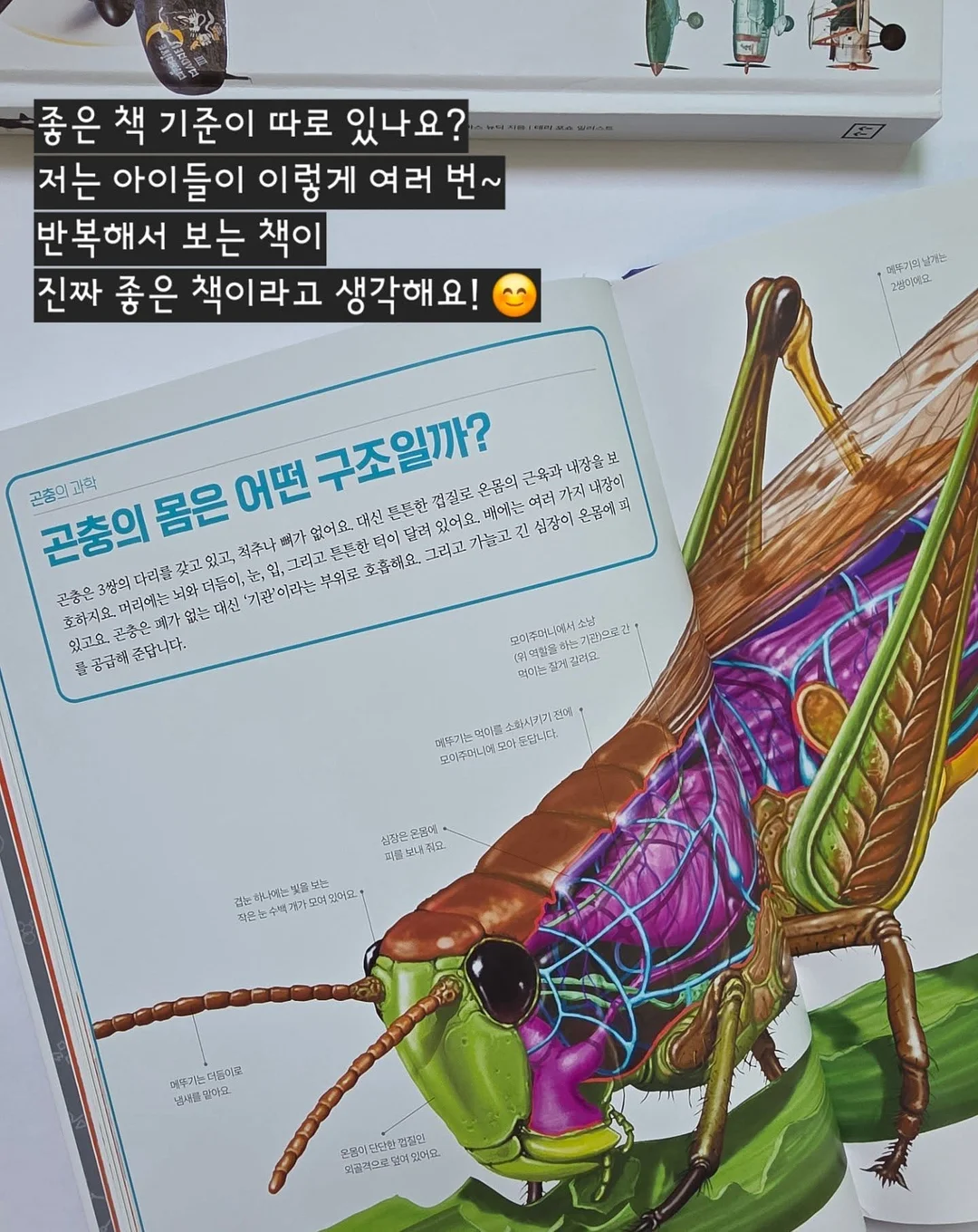 키티 네일 10