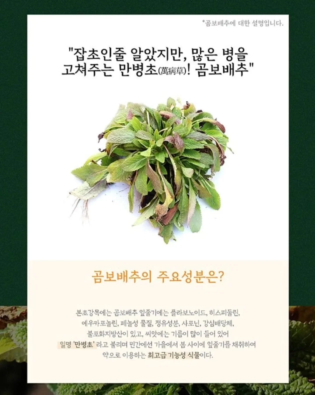 아이폰 16 9