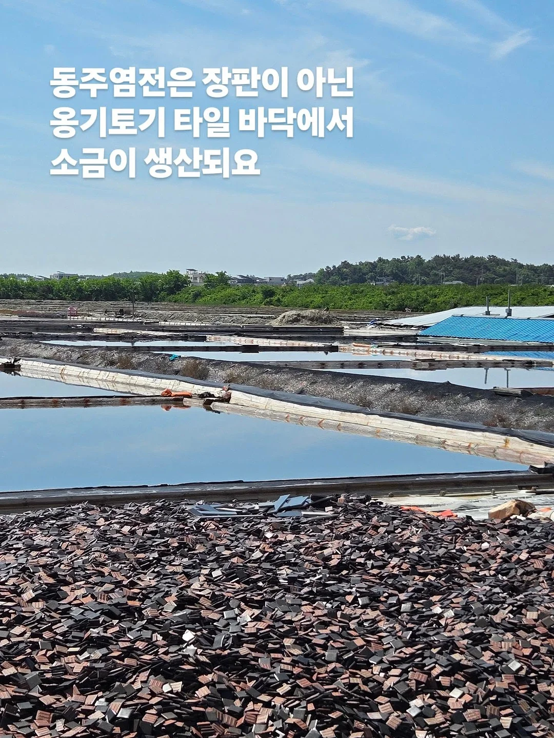 아누아 PDRN 세럼 11