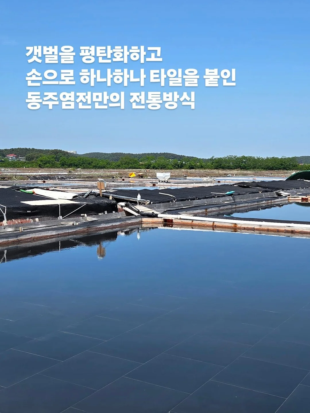아누아 PDRN 세럼 12