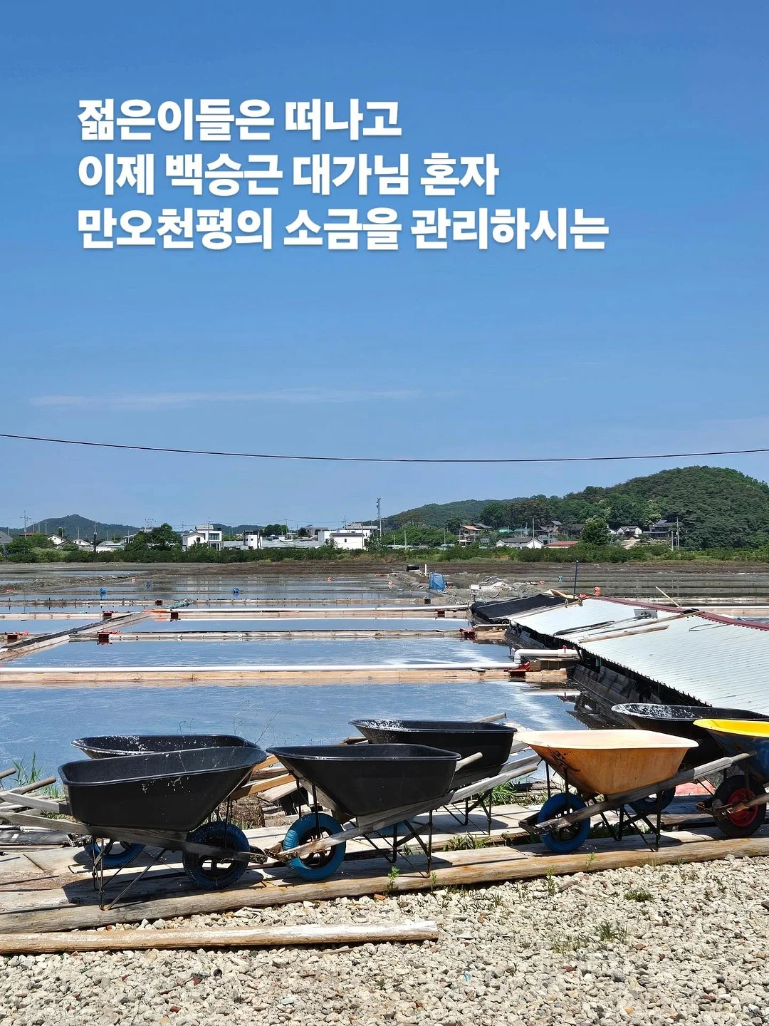 아누아 PDRN 세럼 13