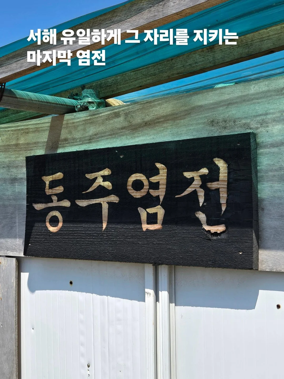 아누아 PDRN 세럼 2