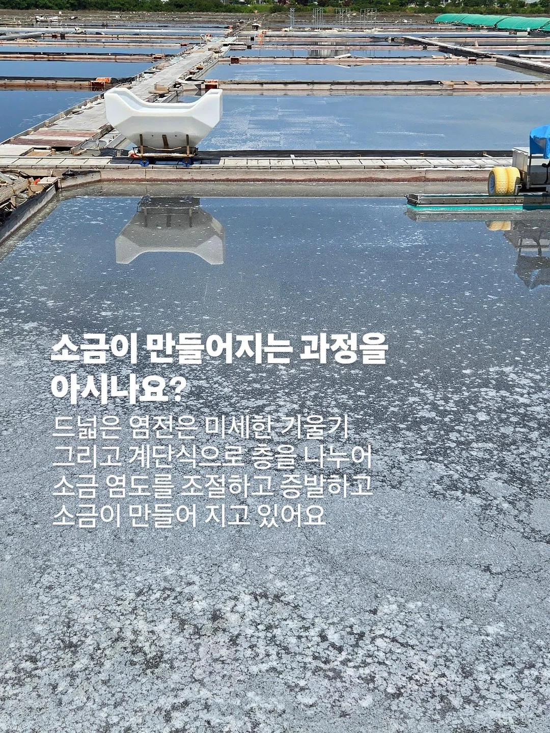 아누아 PDRN 세럼 6