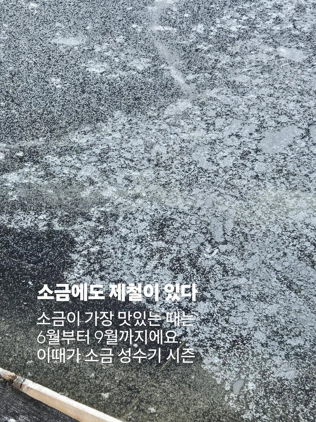 아누아 PDRN 세럼 7
