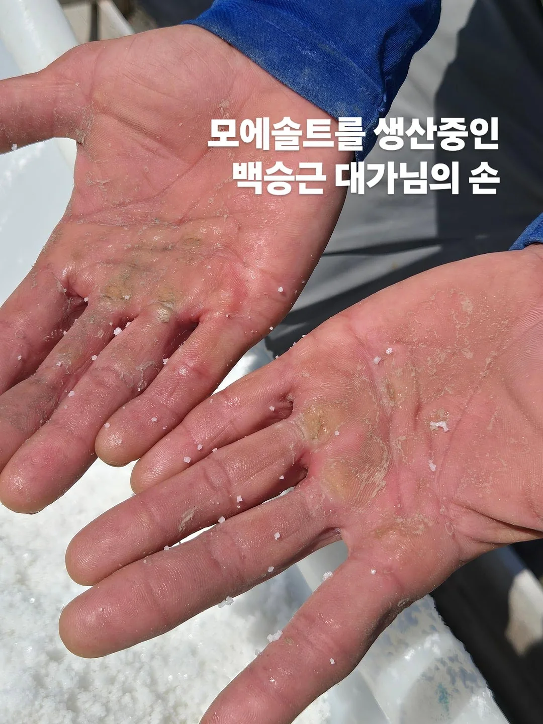 아누아 PDRN 세럼 8