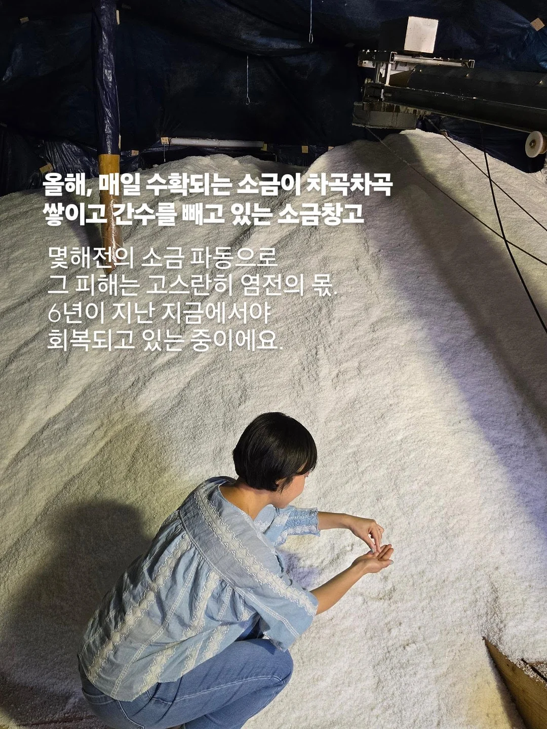아누아 PDRN 세럼 10