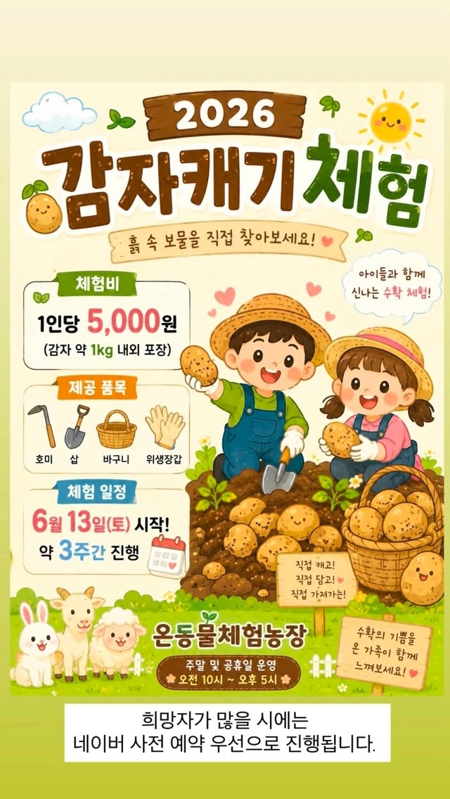 송사장회오리감자