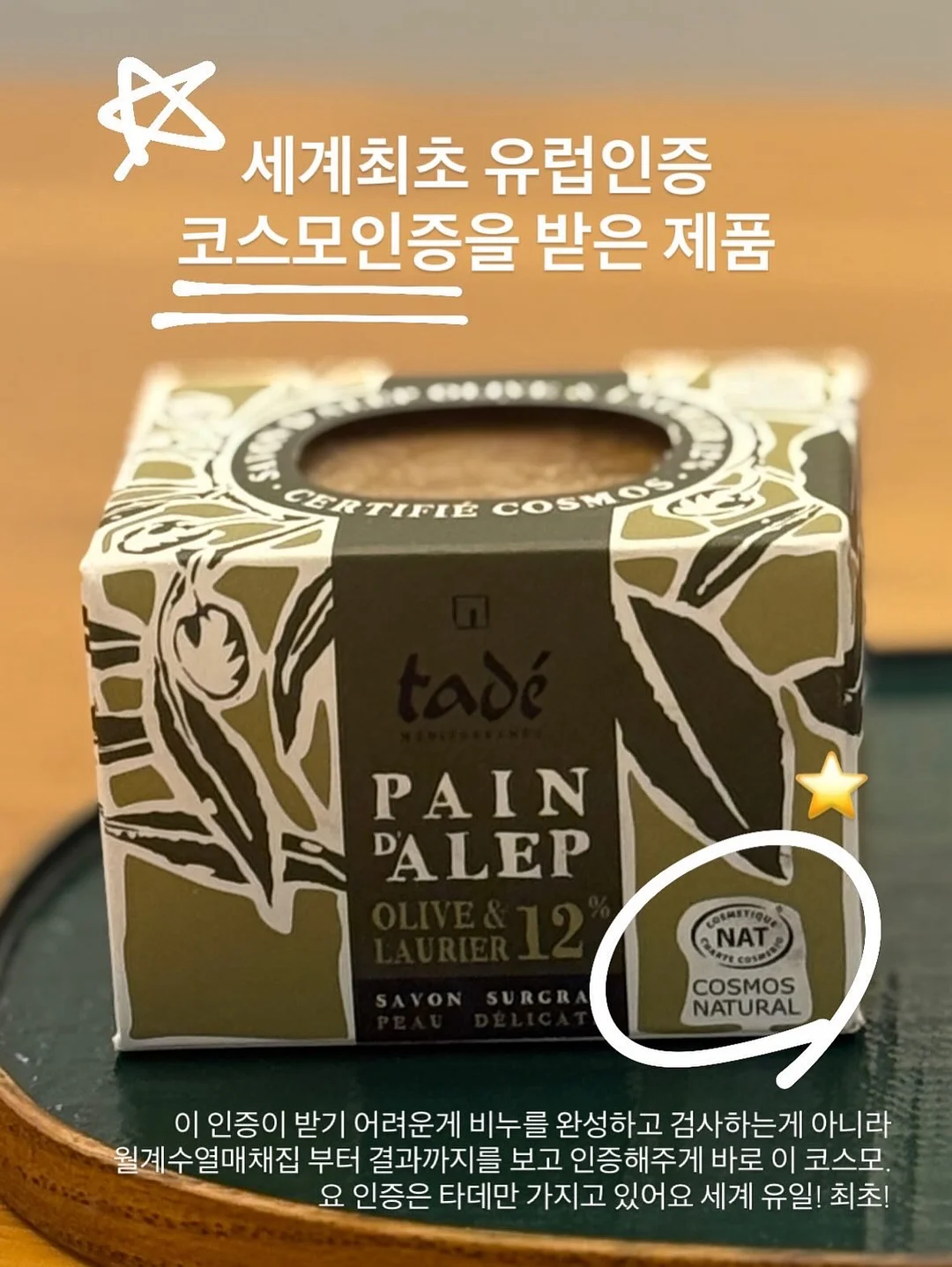 왜 그 자리에 머무르려 하는가 13
