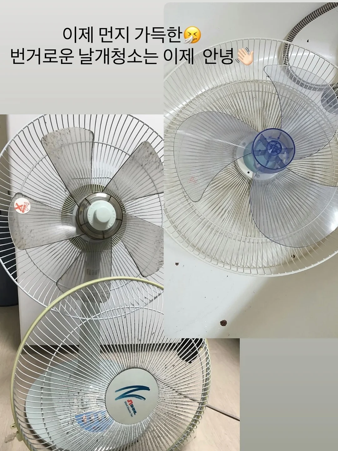 통망고 산도 13
