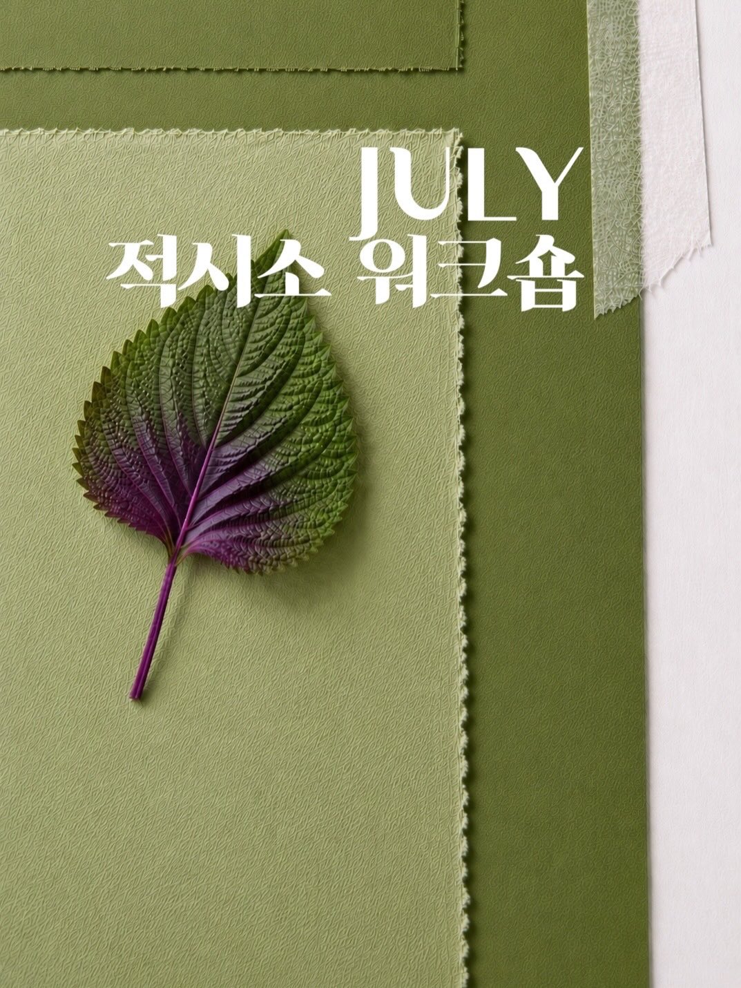 시아 블라우스 1