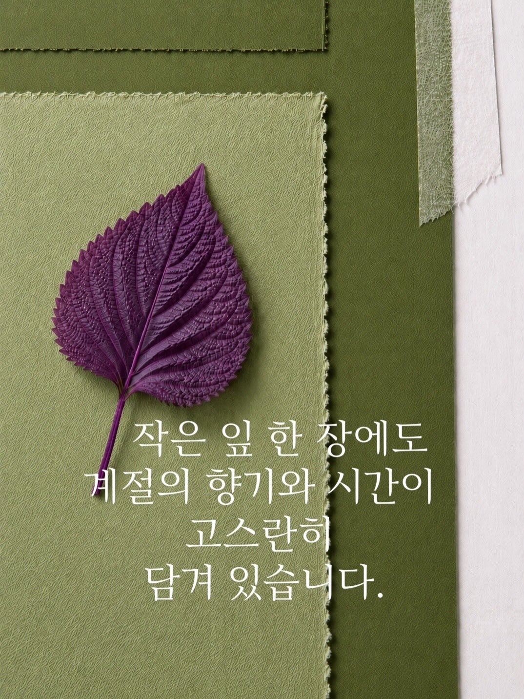 시아 블라우스 2