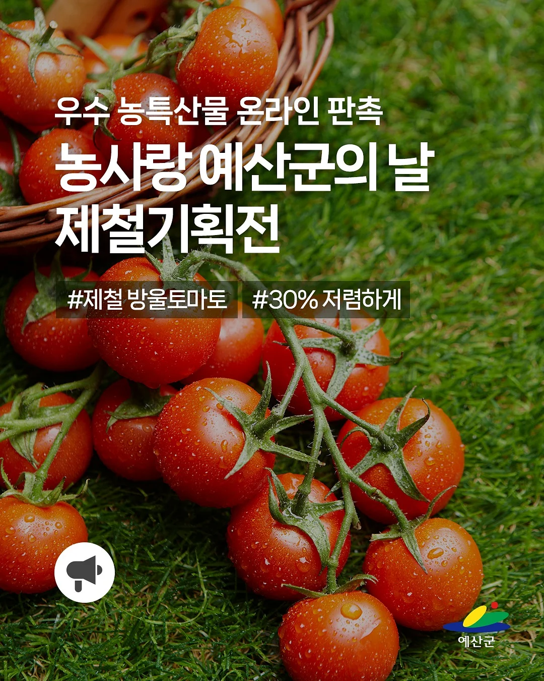 기운야채 오색다담 1