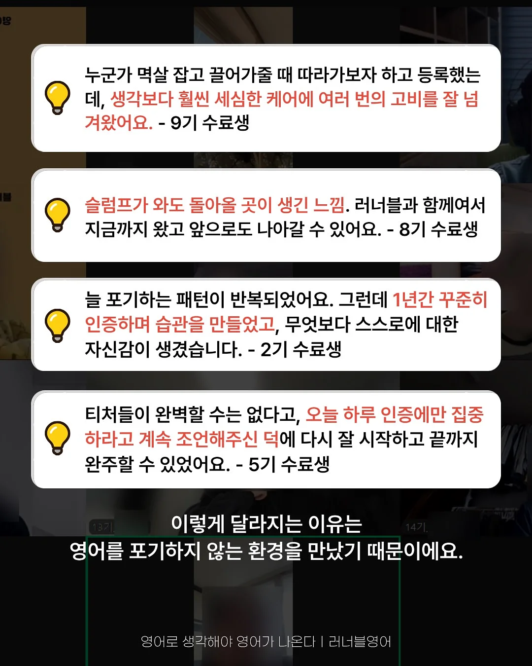 하트롤리팝 한송이 11