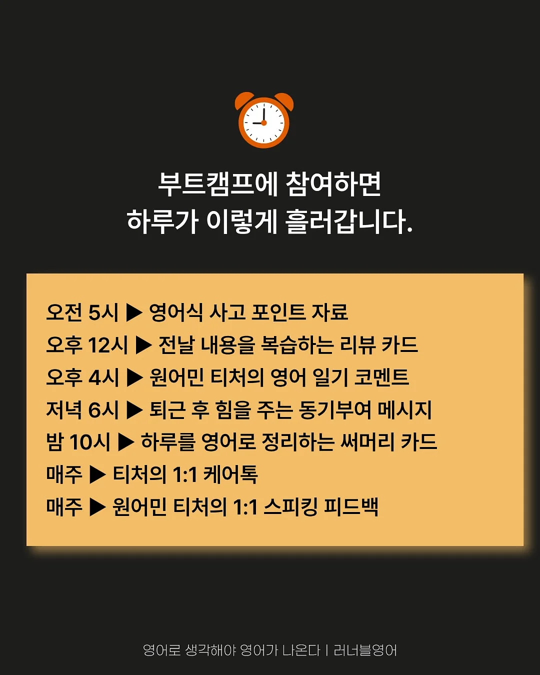 하트롤리팝 한송이 12