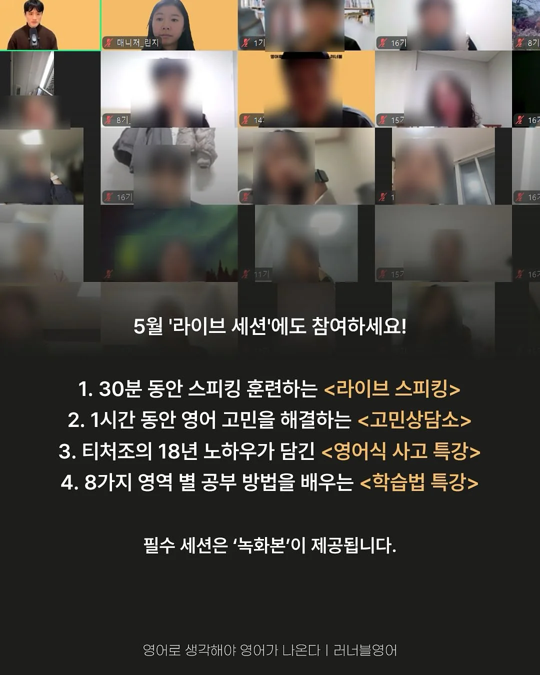 하트롤리팝 한송이 13