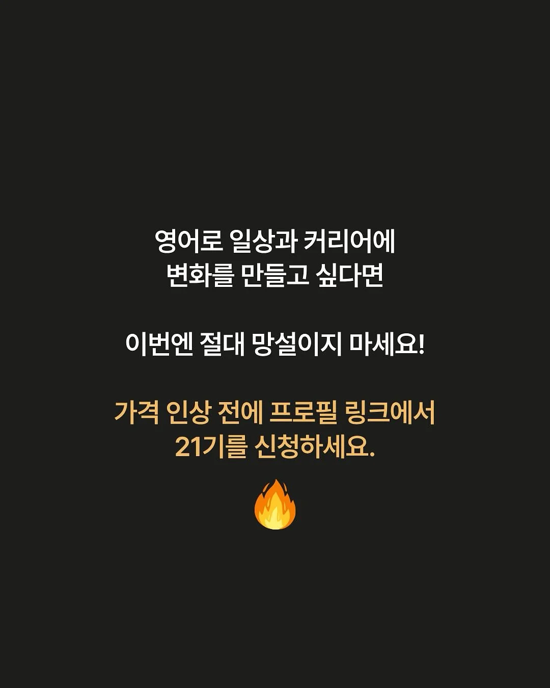 하트롤리팝 한송이 14