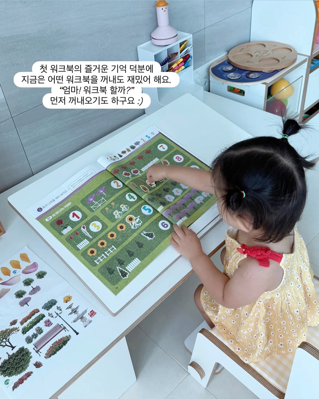 설레발샵 과일망 발목커즈 발목양말SET 6