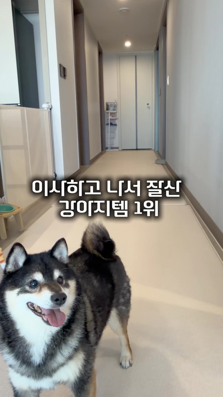 댄스 게임
