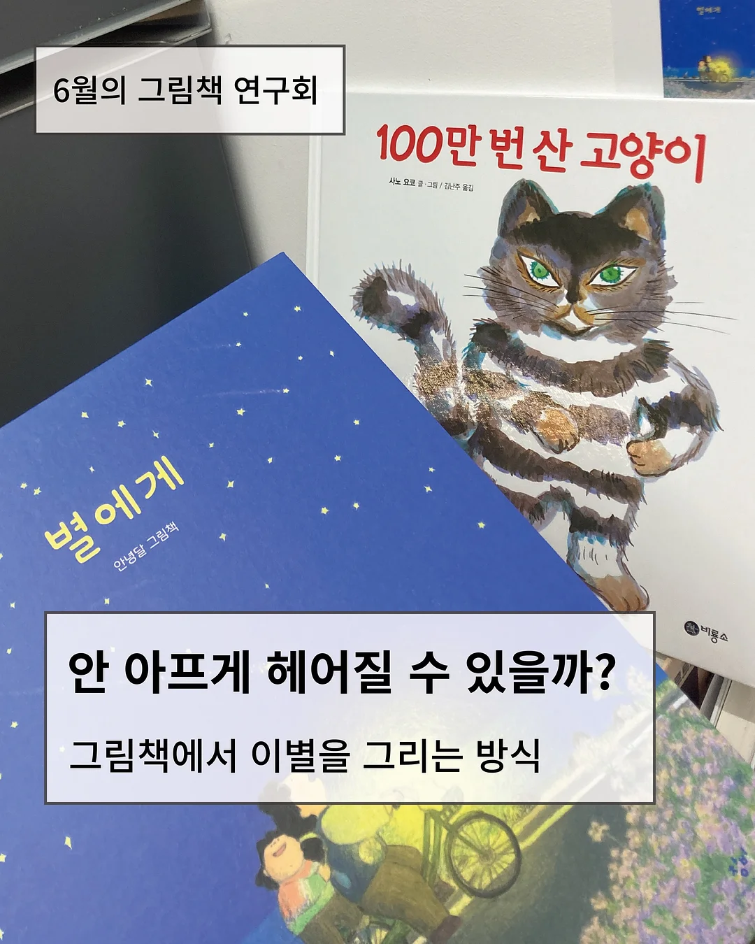 독도칫솔 1