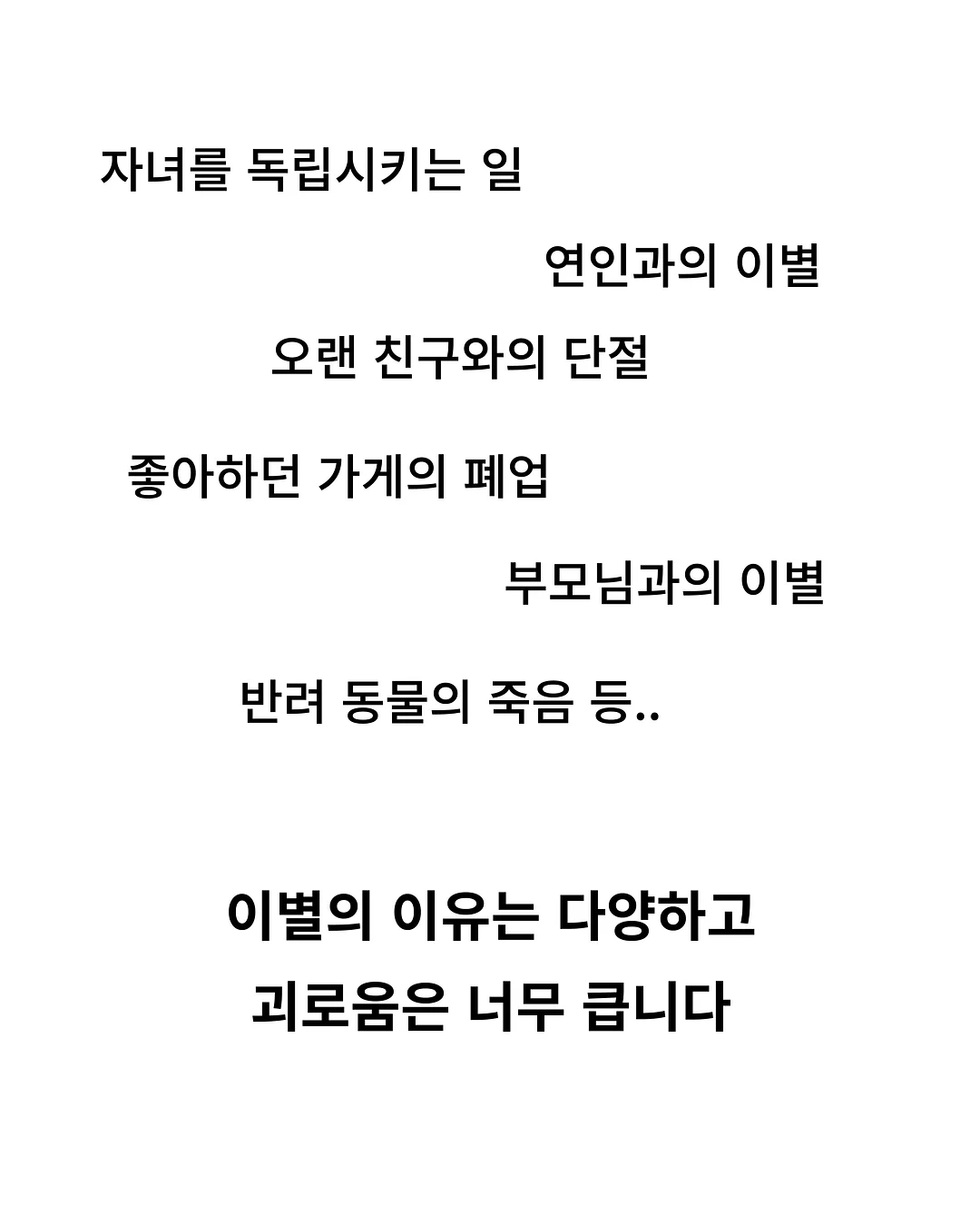 독도칫솔 2