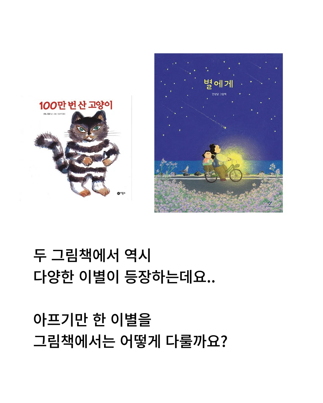 독도칫솔 3