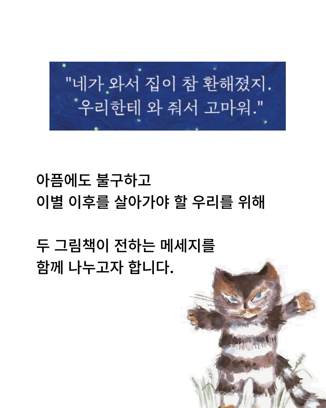 독도칫솔 4