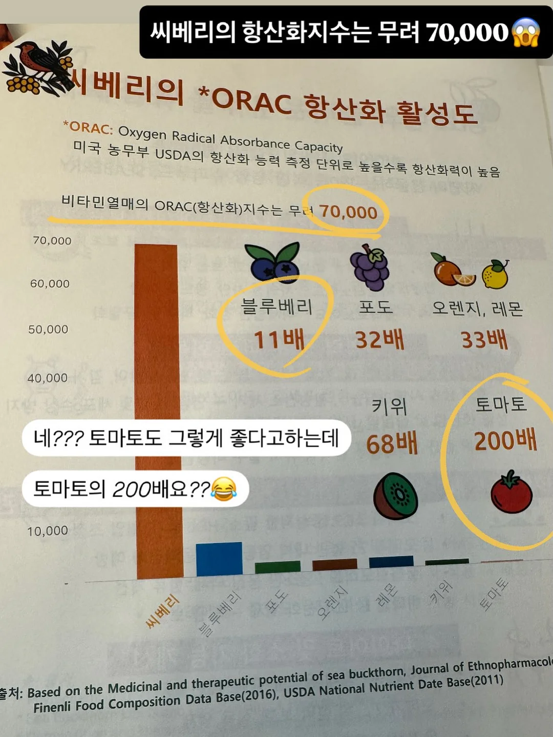 빨래 건조대 4
