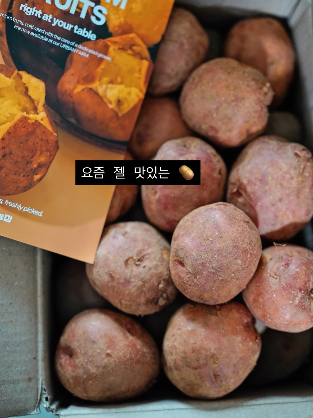 무한의 부 3
