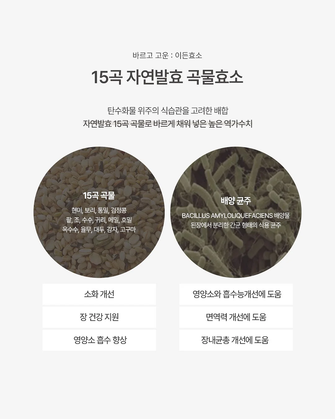 유유라인 우물종지 5