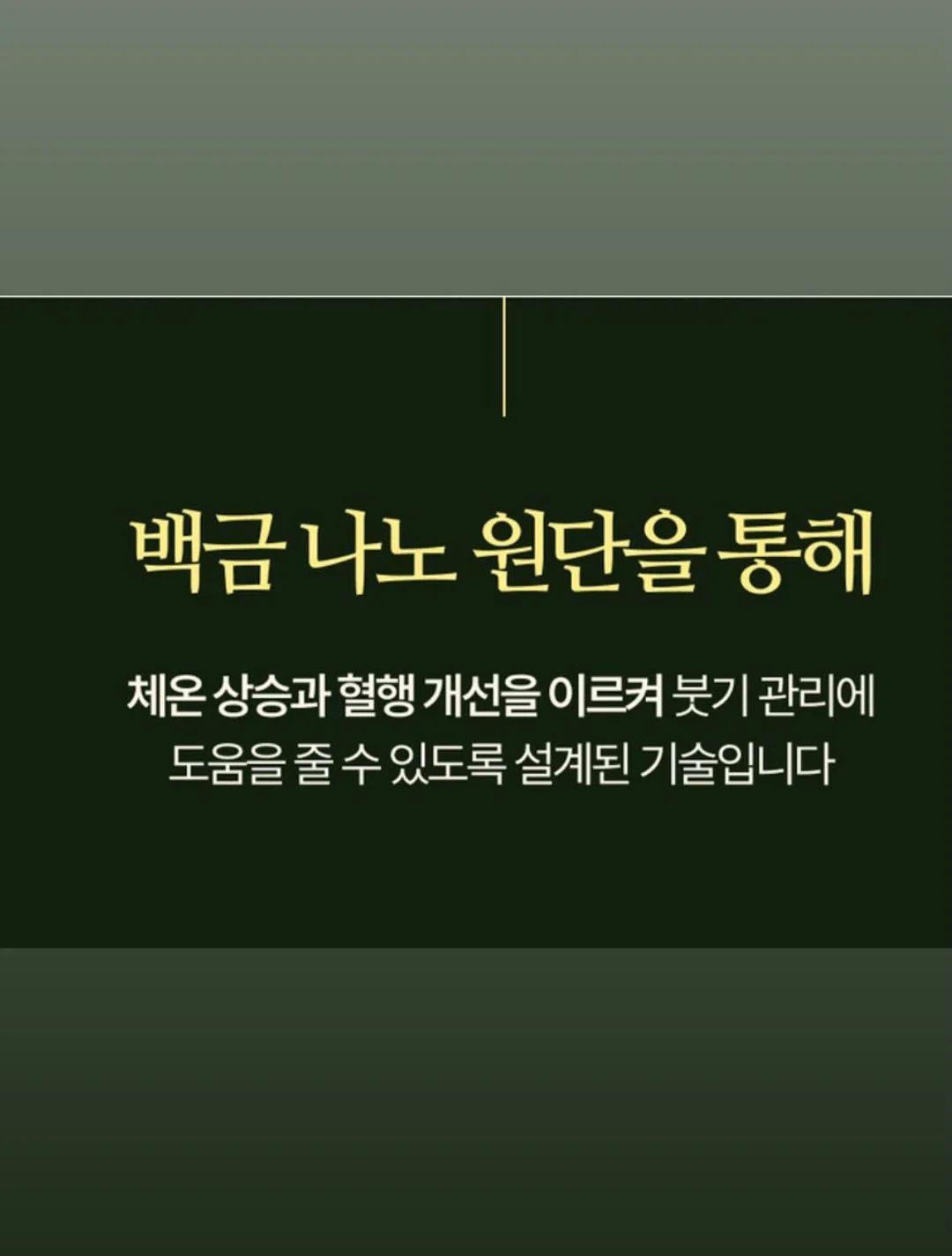전동 웨건 5