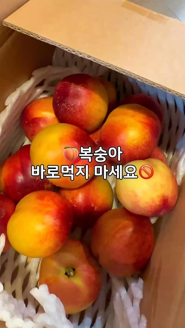 산만한 아이를 위한 본질육아