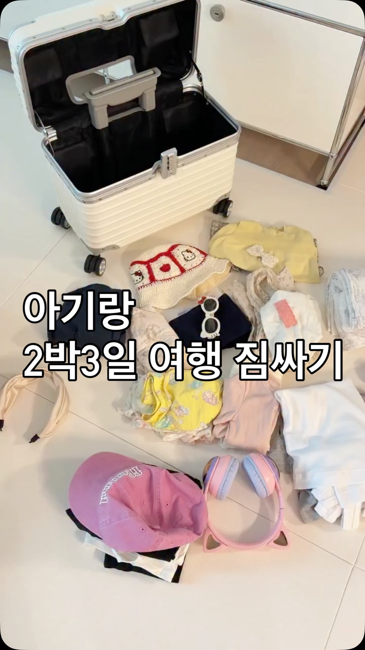 쇼펜하우어 인생 수업