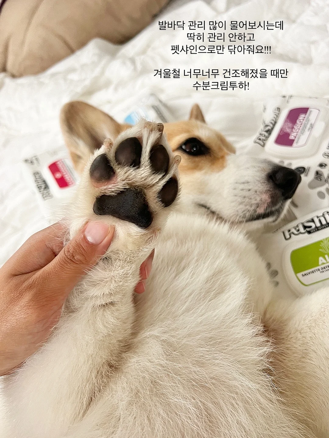 카고 스타일 스커트 2